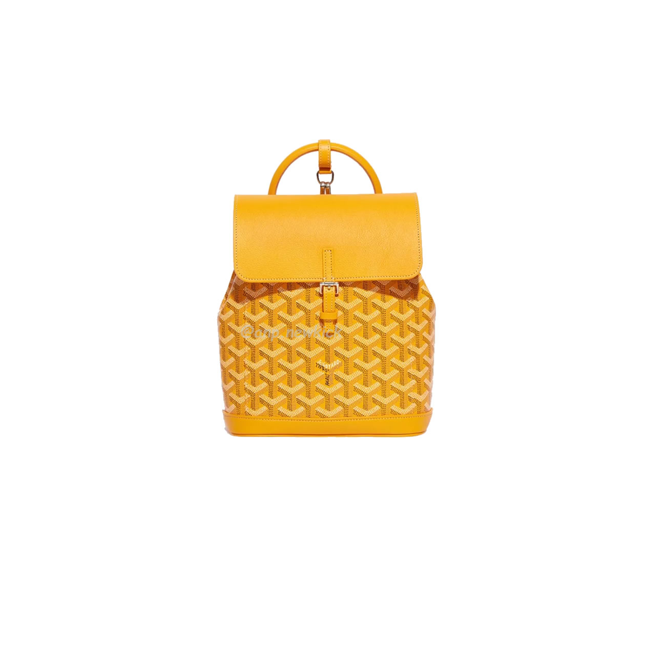 Goyard Alpin Mini Backpack 23 Cm X 9.5 Cm X 19 Cm (11) - www.newkick.vip